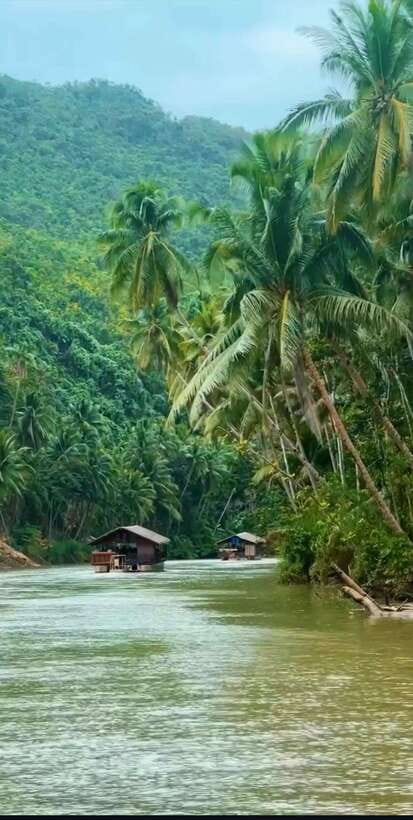 Bohol: Guided Chocolate Hills & Tarsiers Tour - A realistic price check: $37 plus fees, then an optional cruise package