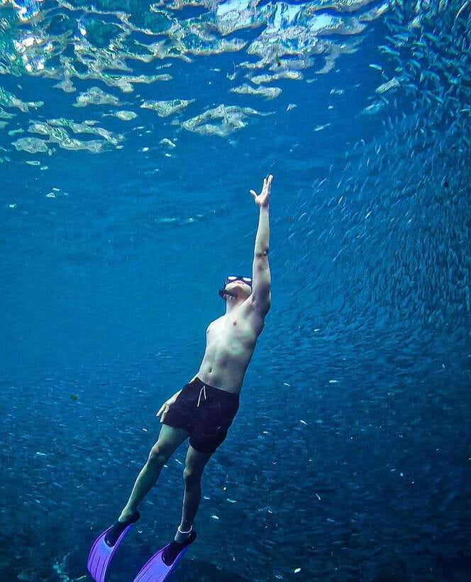 Bohol: Guided Sardine Reef Snorkeling Experience - Photos and videos: how to use them without spoiling your view