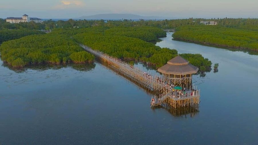 Bohol Hidden Gems: Panglao Beaches, Forests & Cave Adventure - Panglao, Bohol Island Geopark, and why this day tour feels grounded