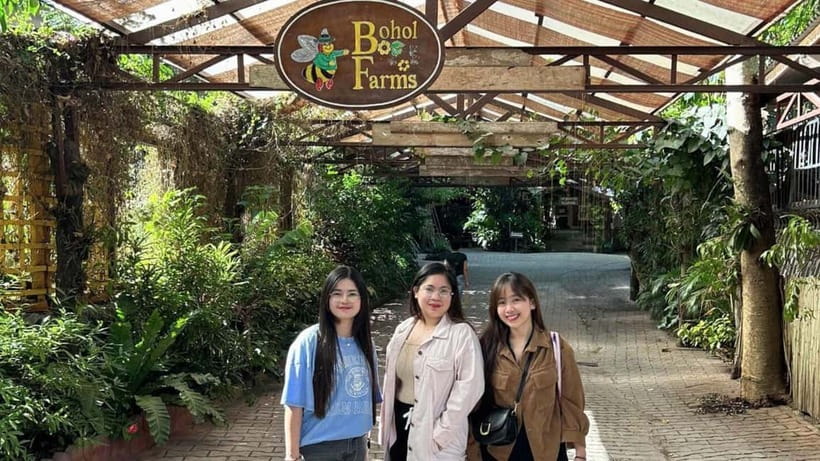Bohol Hidden Gems: Panglao Beaches, Forests & Cave Adventure - Who this tour suits best in Panglao
