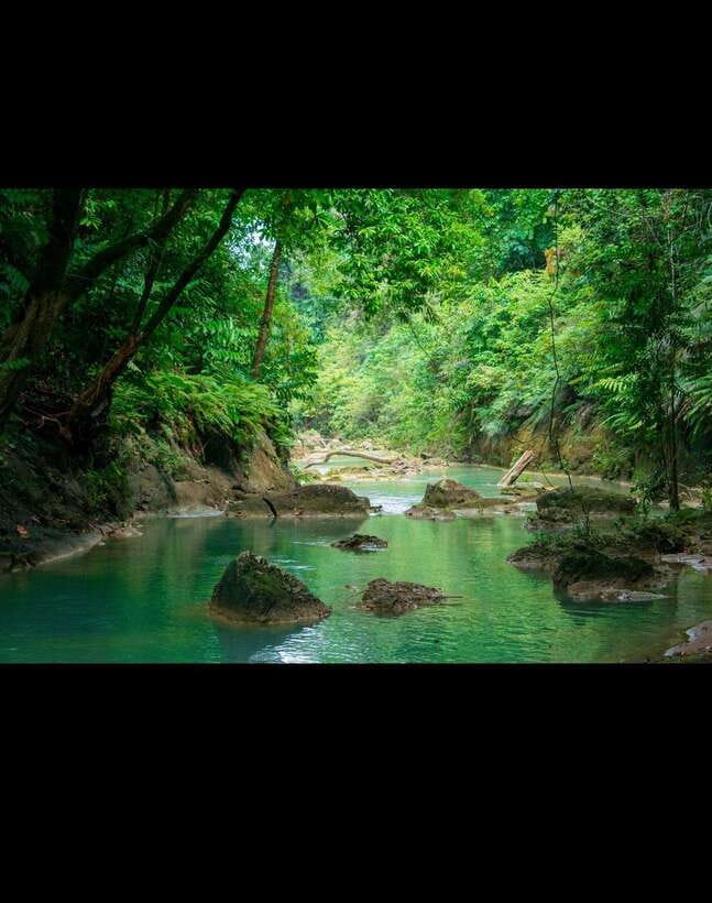 Bohol: Hidden Waterfall Hopping and Jungle Trek Adventure - Price and Value: What You Pay for $29, Plus the Extra Environmental Fee