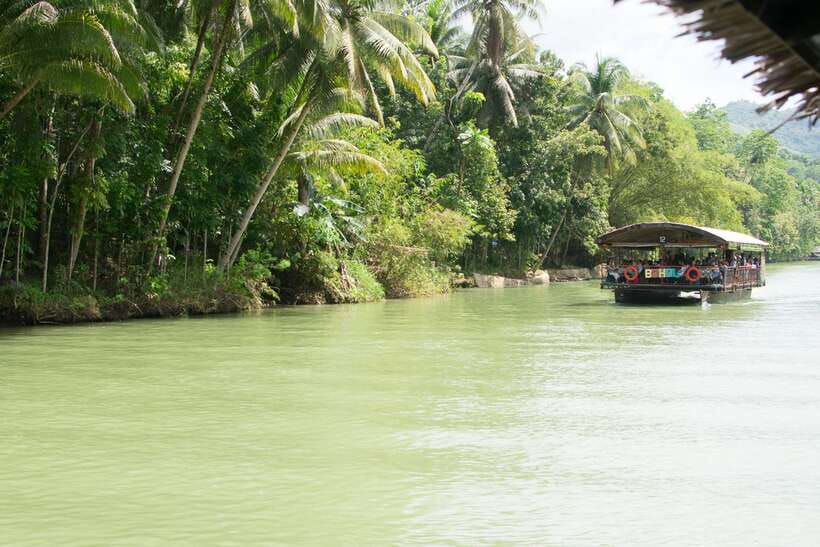 Bohol: Loboc River Buffet-Lunch Cruise with Private Transfer - Practical tips so you get more from the 4-hour plan