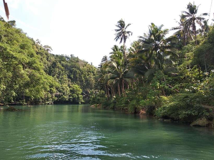 Bohol: Loboc River Buffet-Lunch Cruise with Private Transfer - What the buffet lunch really means on a moving boat