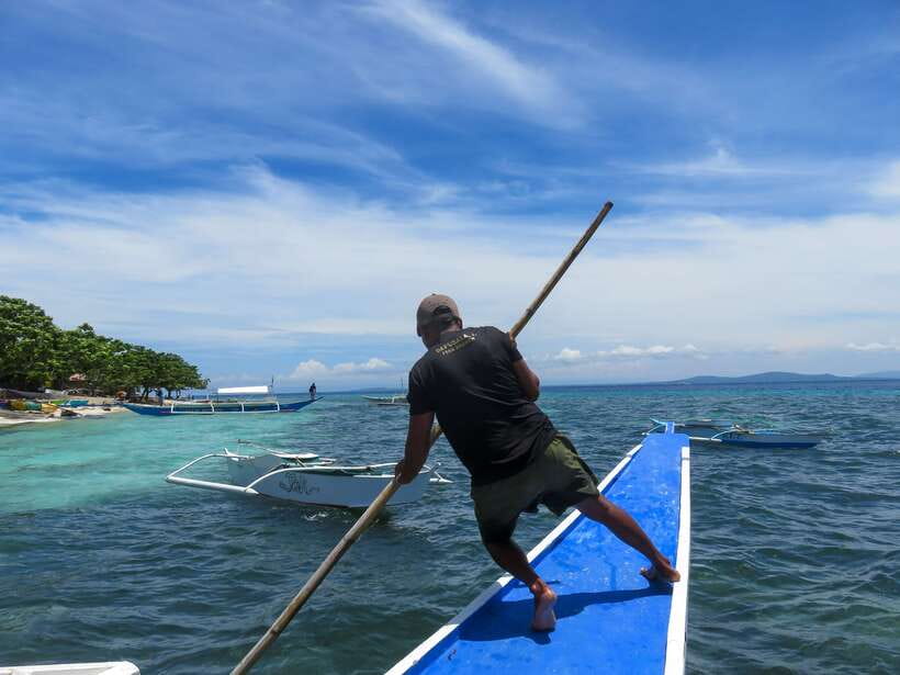 Bohol: Pamilacan Island Dolphin/Turtle Watching Tour & Lunch - Dolphin watching at sea: what you can expect from the short window
