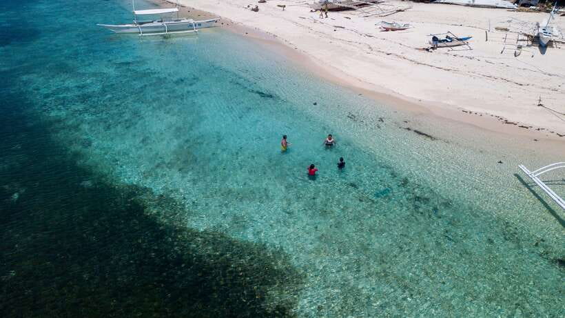 Bohol: Pamilacan Island Dolphin/Turtle Watching Tour & Lunch - Price and value at about $70 per person