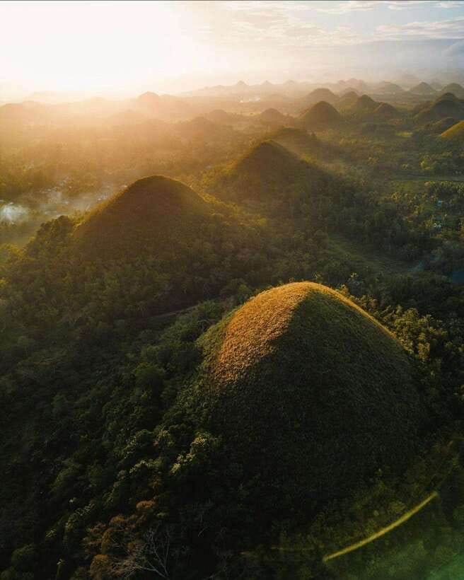 Bohol: Premium Chocolate Hills, Tarsiers & River Experience - Loboc River Cruise: Scenic Break, Buffet Lunch, and What to Expect About the Extra Cost