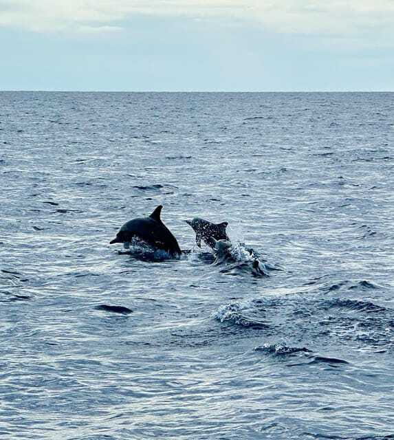 Bohol PREMIUM PAMILACAN Island Tour - What the 7-hour day feels like, stop by stop