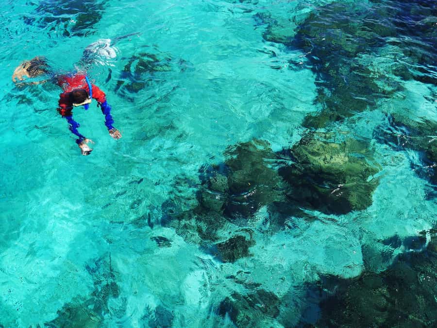 Bohol: Private Balicasag Tour with extra snorkeling time - Multiple snorkel stops, including extra time around the island