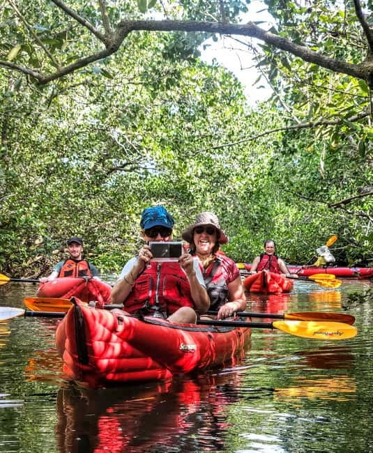 Bohol: SUSTAINABLE Mangrove Tunnels & Firefly Kayaking trail - Mangrove tunnels and synchronous fireflies on the Abatan River
