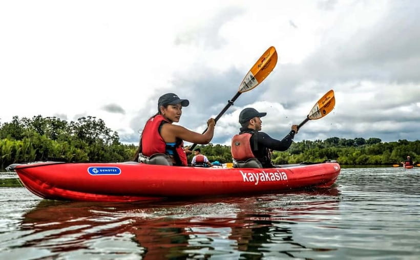 Bohol: SUSTAINABLE Mangrove Tunnels & Firefly Kayaking trail - Afternoon paddling through nipa palms and mangrove tunnels