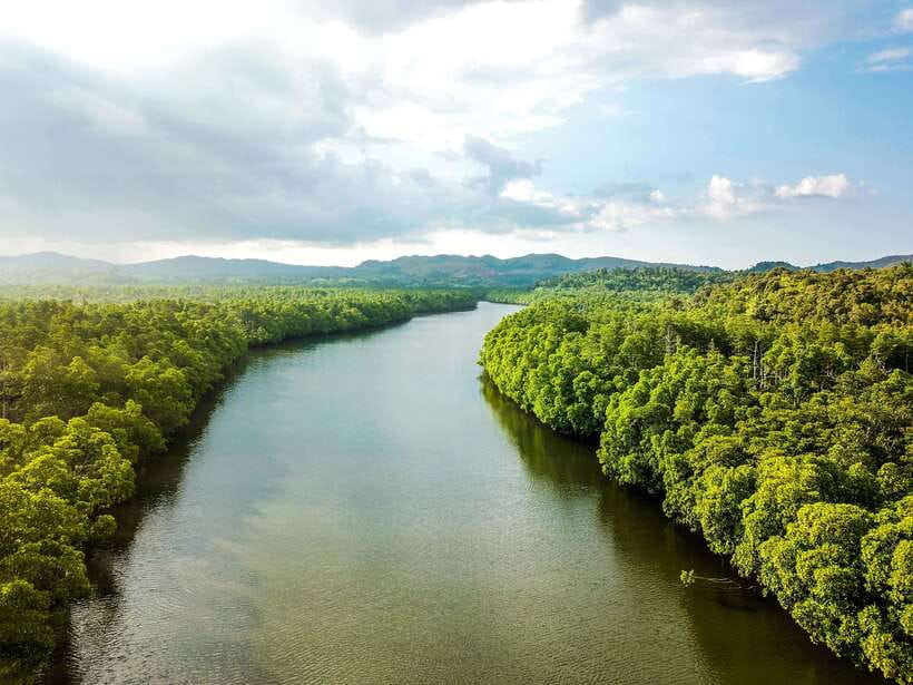 Bohol Tour Package: 3-Day Paradise Adventure - Tarsier Conservation Area and the Bilar Man-made Forest drive