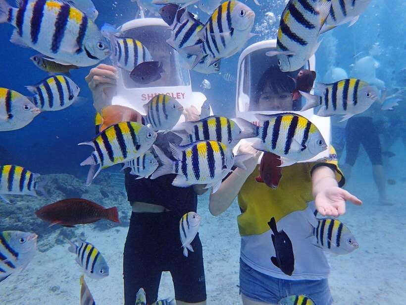 Boracay: Aquanaut Adventure with Photos and Videos - Why this Aquanaut underwater walk works for first-timers
