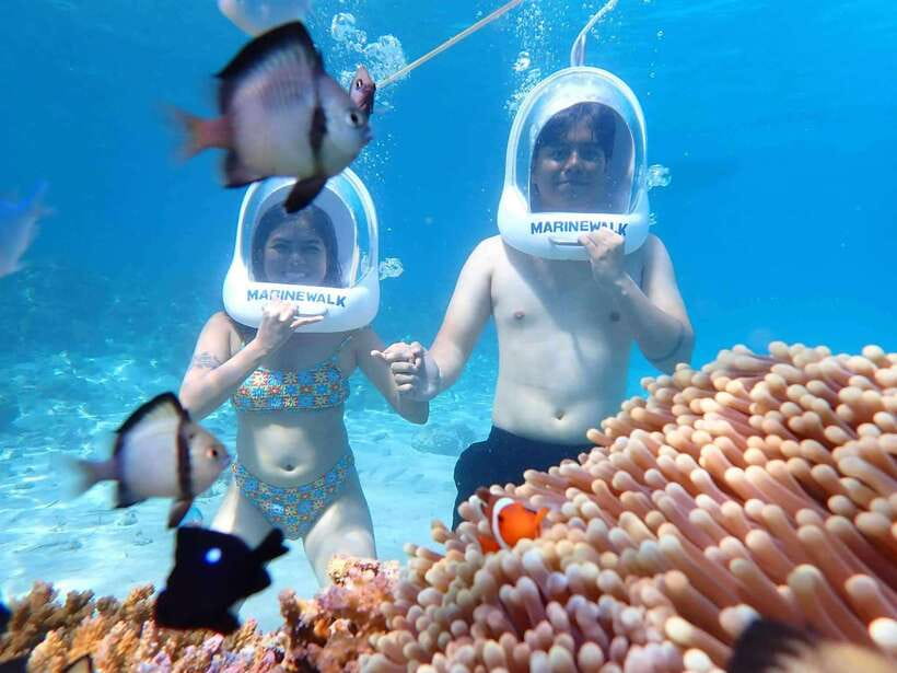 Boracay: Aquanaut Adventure with Photos and Videos - Marine life viewing, coral shapes, and what you should look for