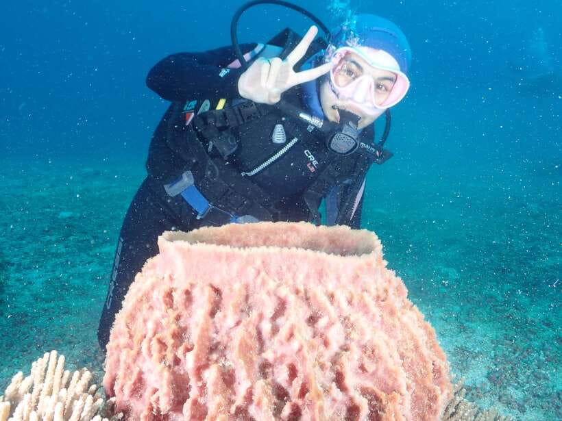 Boracay: Introduction to Scuba Diving Experience - Key Things That Make This Intro to Scuba in Boracay Work