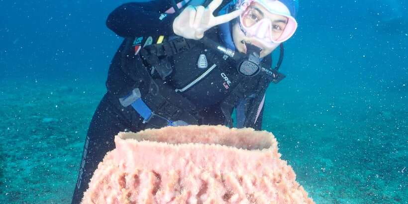 Boracay: Introduction to Scuba Diving Experience - The Real Value: Photos, Videos, and a Certificate You Can Use