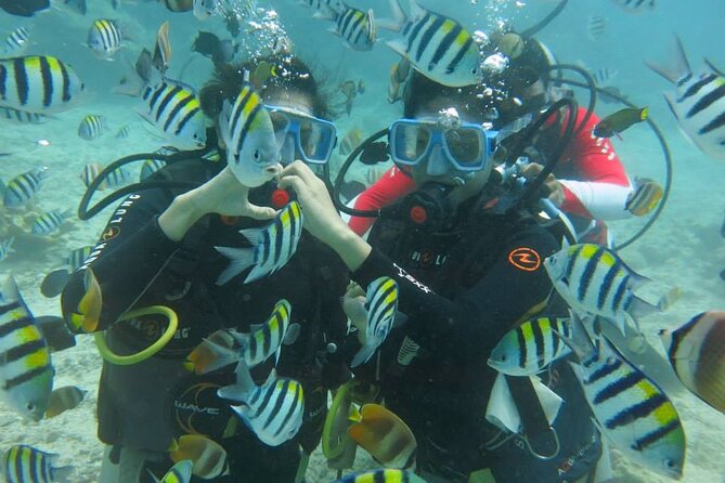 Boracay PADI Discover Scuba Diving - Where you meet and how the timing feels