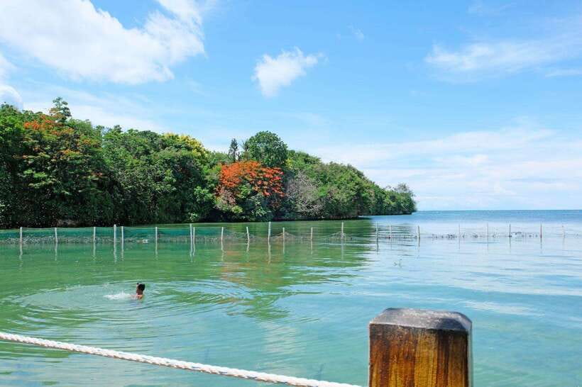 Boracay Private Land Tour - Who should book this Boracay private land tour