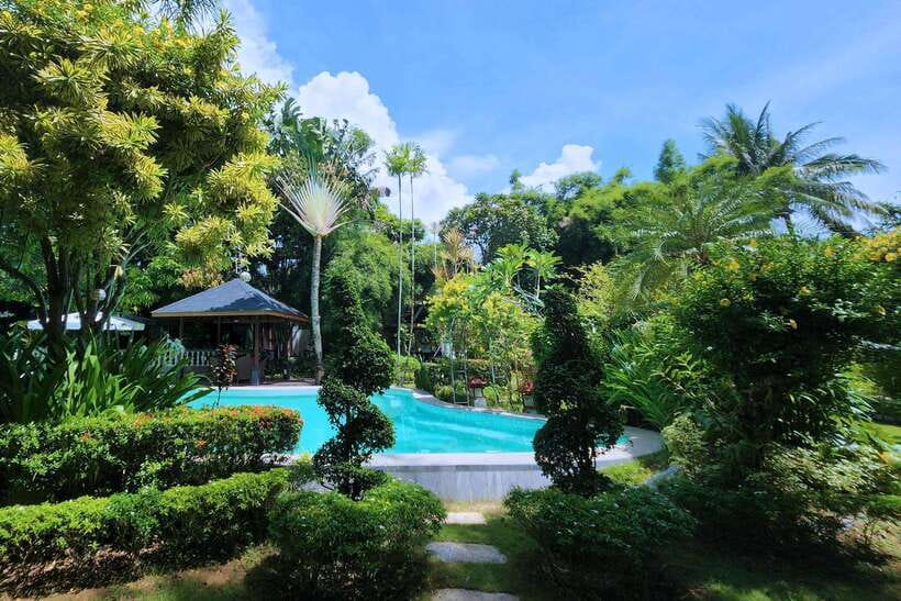 Boracay: Spa and Wellness Experience at Helios Spa - Massage Room Comfort: Clean, Calm, and Therapist-Driven