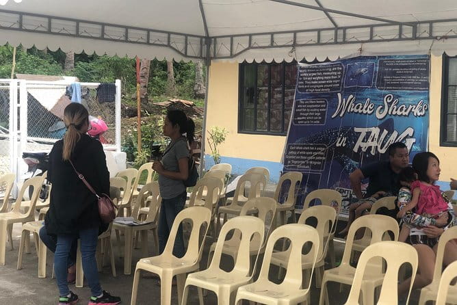 Budgeted Bohol Whale Shark - Why Bohol’s whale shark encounter happens near Lila (and not just anywhere)