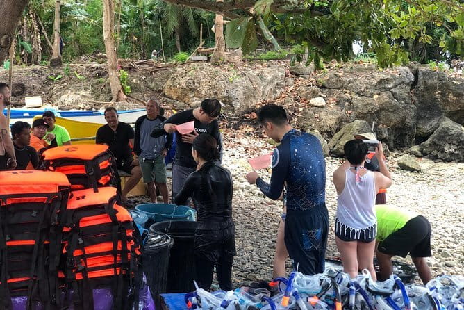 Budgeted Bohol Whale Shark - What the 5-hour day feels like on the ground and in the water