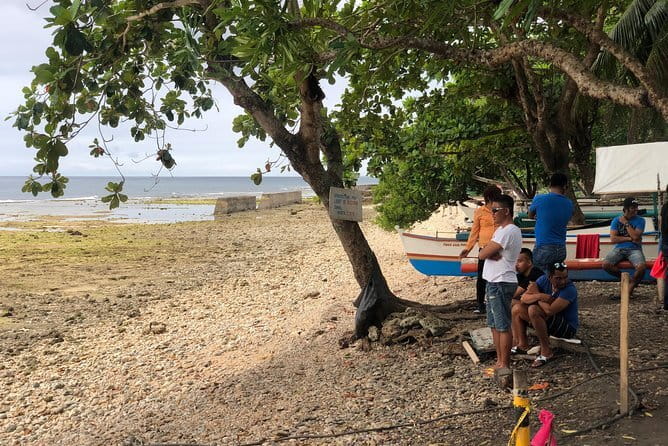 Budgeted Bohol Whale Shark - Getting your money’s worth: what $30 includes and what costs extra