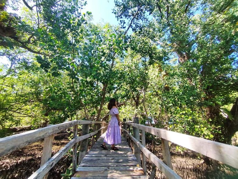 Camiguin: White Island Mantigue Island Exploration PRIVATE - Stop 2: Katunggan Mangrove Park, wooden bridge views and a swim