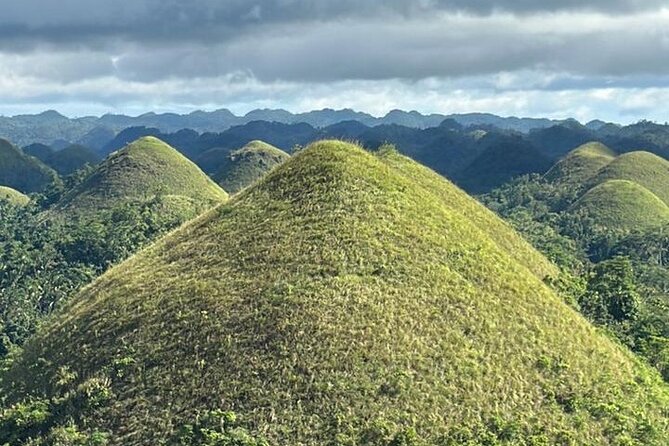 Cebu-Bohol Day Tour + Ferry Tickets - The morning rhythm: 4:30 am start, pickups, and Cebu Pier 1