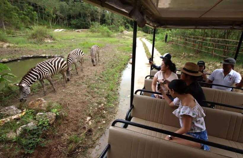 Cebu:Cebu Safari Adventure Park Day Trip - Price and value: is $97 worth it?