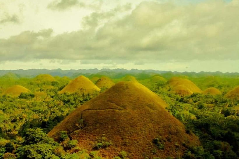 Cebu City: Bohol Countryside Tour with River Cruise Lunch - Price and value at around $160 per person