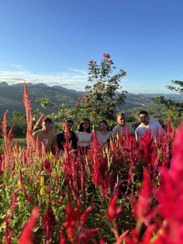 Cebu: City Highlights with Sirao Flower Garden Visit - Cebu uphill and city highlights: why this tour works as a first-day plan