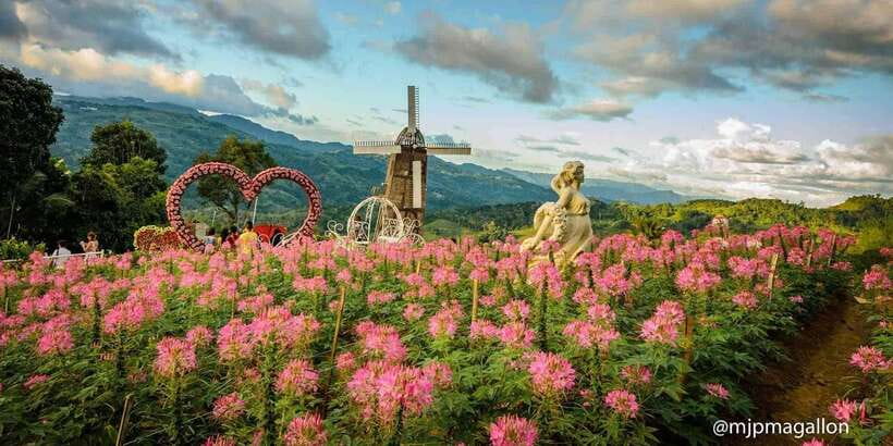 Cebu City: Historical, Local Cuisine & Mountain Guided Tour - Price and value at around $81 for 4 hours (what you really get)