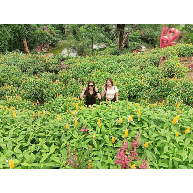 CEBU: City + Mountain Tour - Sirao Flower Garden in Cebu: the Little Amsterdam start