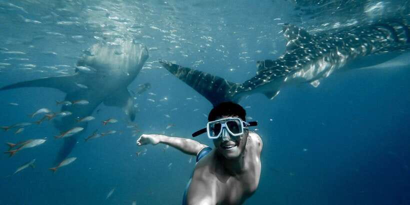 Cebu City: Whale Shark Swimming & Kawasan Falls Canyoneering - FAQ