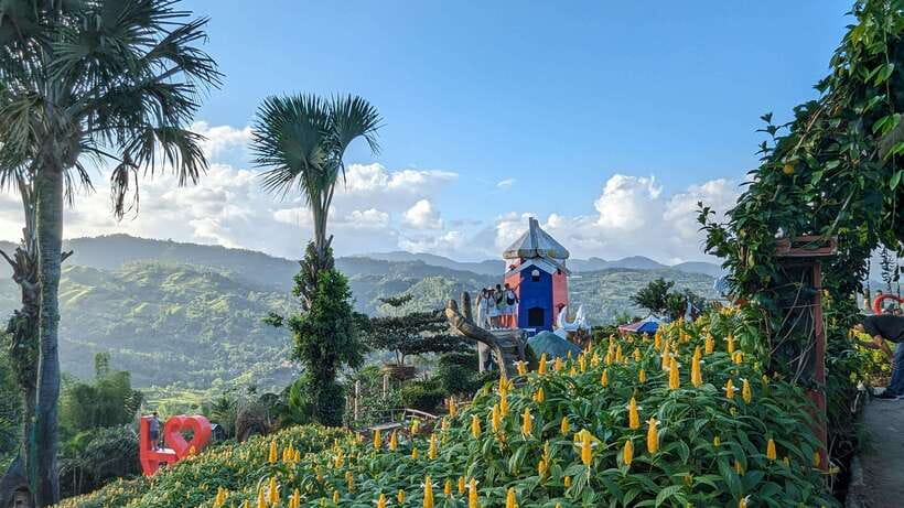 Cebu City with Sirao Garden Half Day Tour - Why this Cebu City half-day hits both faith and photos