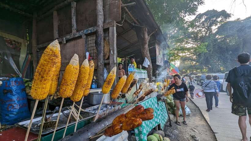 Cebu City with Sirao Garden Half Day Tour - Who this Cebu City with Sirao Garden tour suits best