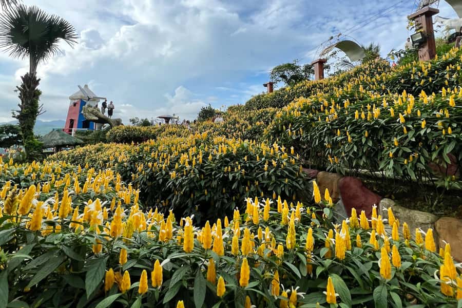 Cebu: Highlands Guided Tour w/ Hotel Pickup - Pickup and drop-off: Cebu IT Park or SM City Cebu