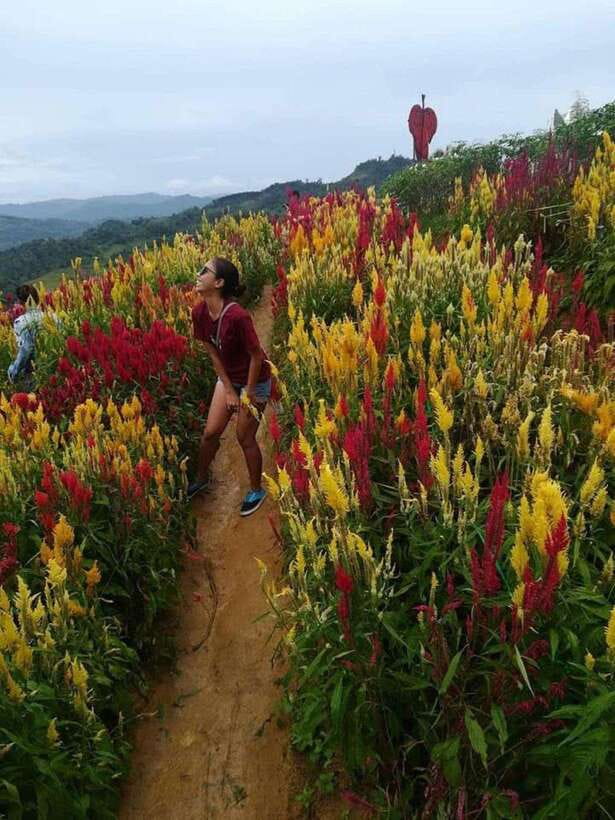 Cebu Highlands: Half-Day Escape with Optional Lunch - Taoist Temple: dragon carvings, meditation corners, and a calmer finish