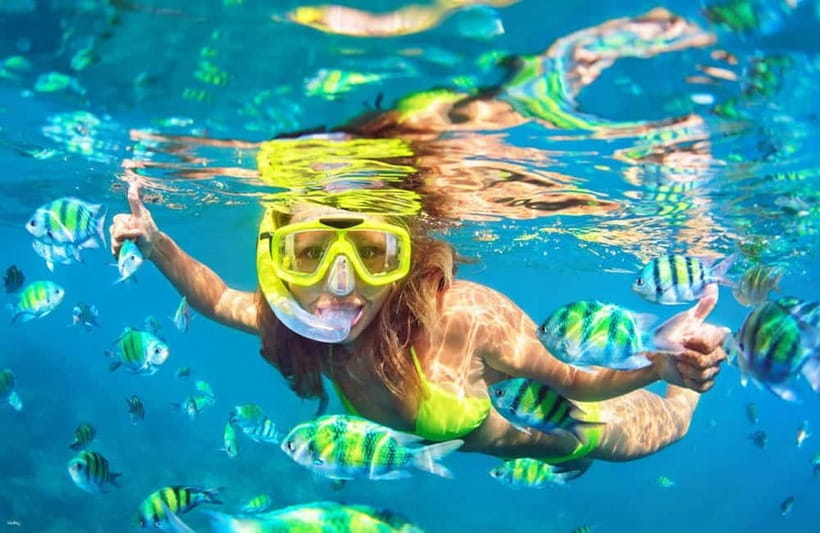 Cebu: Island Hopping 3 Islands + San Vicente Fish + Lunch - Key points to know before you go