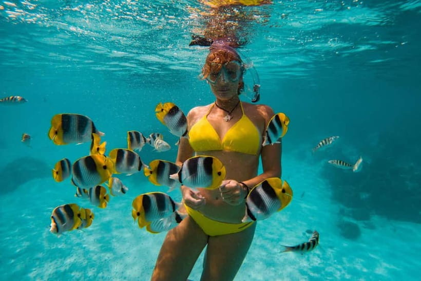 Cebu: Island Hopping 3 Islands + San Vicente Fish + Lunch - Gilutungan Marine Reserve snorkel: fish, rules, and what you can do