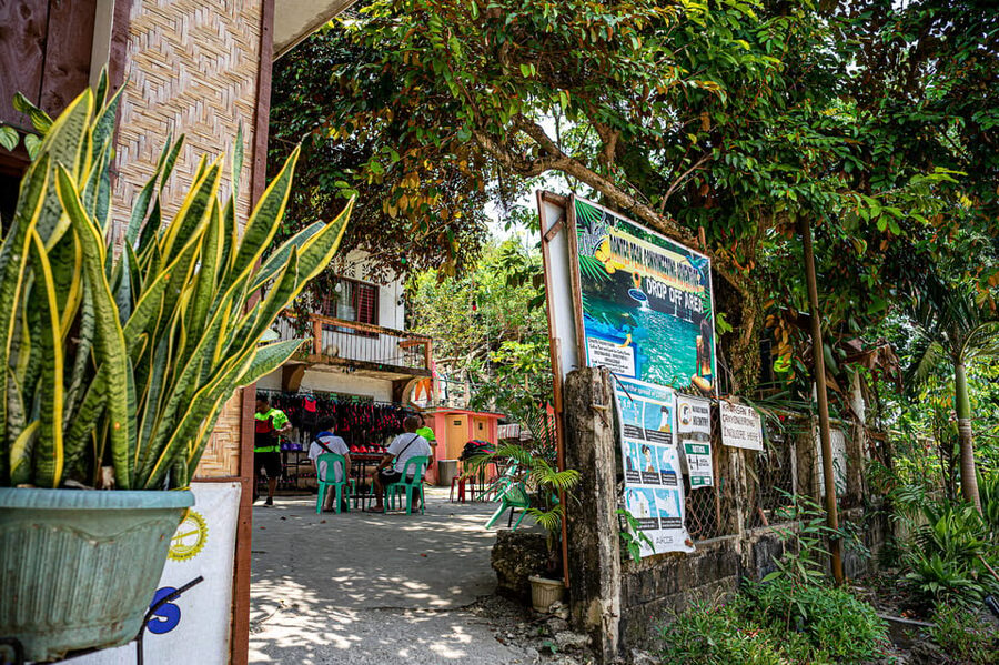 Cebu: Kawasan Canyoning, Moalboal Snorkeling, & Turtles Tour - Kawasan Falls Canyoning: Natural Chutes, Jumps, and Real Guidance
