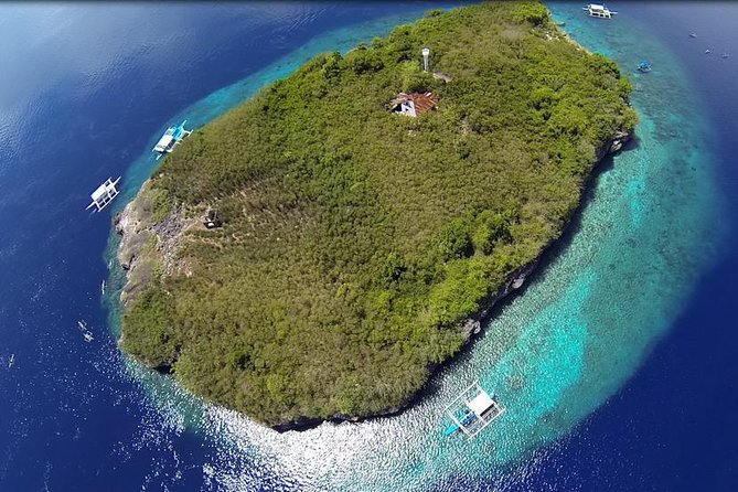 Cebu Moalboal Beach, Sardine Run, Sea Turtle Viewing + Canyoneering Tour - Moalboal Beach snorkeling: sea turtles and the sardine run