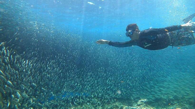 Cebu: Moalboal Island Hopping and Mantayupan Falls Day Trip - Should You Book This Moalboal Plus Mantayupan Falls Day Trip?