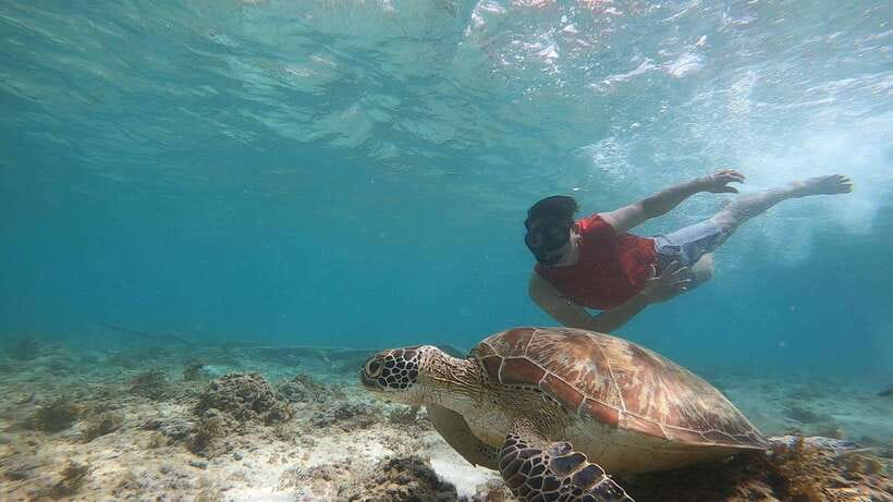 Cebu: Moalboal Island Hopping and Mantayupan Falls Day Trip - Price and Value: Is $112 Per Person Fair?