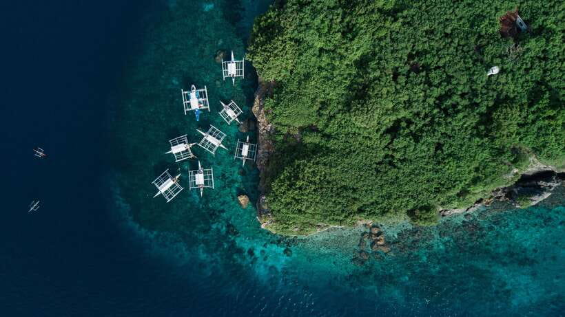 Cebu: Moalboal Sardines and Turtles Snorkeling Tour - Gear, fins, and small costs that can change the final price