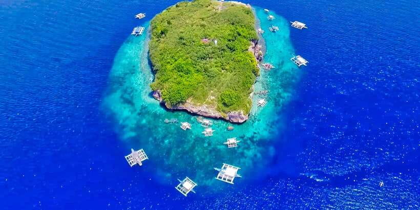 Cebu: Moalboal Sardines and Turtles Snorkeling Tour - Price and value: does $87 make sense for this day?