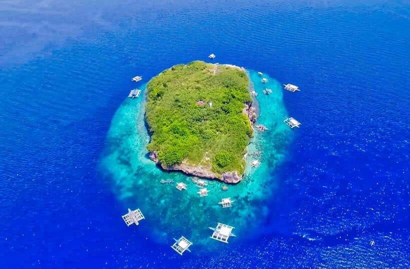 Cebu: Moalboal Sardines and Turtles Snorkeling Tour - Pickup, drive time, and how to plan your energy