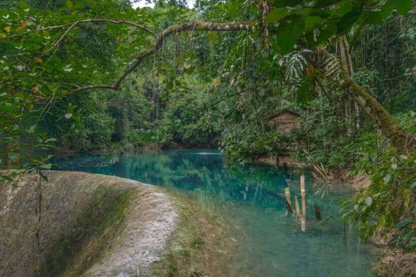 Cebu: Moalboal Sardines & Turtle Snorkeling and Canyoneering - Should You Book This Moalboal Plus Kawasan Falls Day Trip?