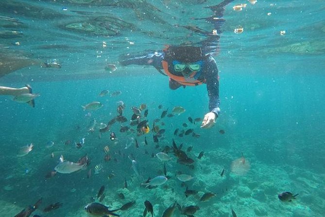 Cebu: Moalboal Sardines, Turtle Snorkeling & Kawasan Canyoneering - The early start: why 4:30 am can still be worth it