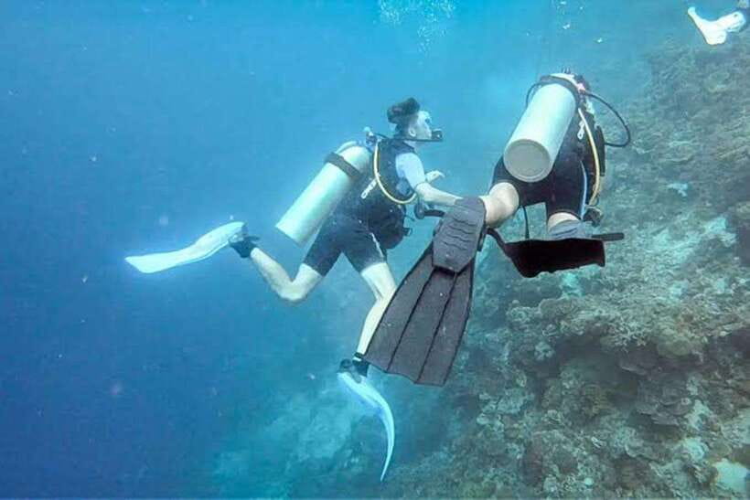 Cebu: Moalboal Scuba Diving, Sardines Run & Pescador Snorkel - Pescador Island Snorkeling: Coral, Caves, and Clear Water Views
