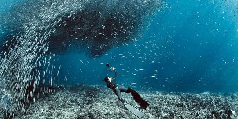 Cebu: Moalboal Scuba Diving with Sardines and Turtle Snorkel - What’s included vs what costs extra